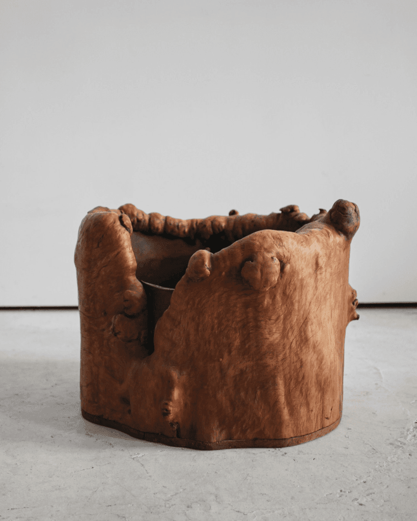 Primitive Japanese Root Planter (1)