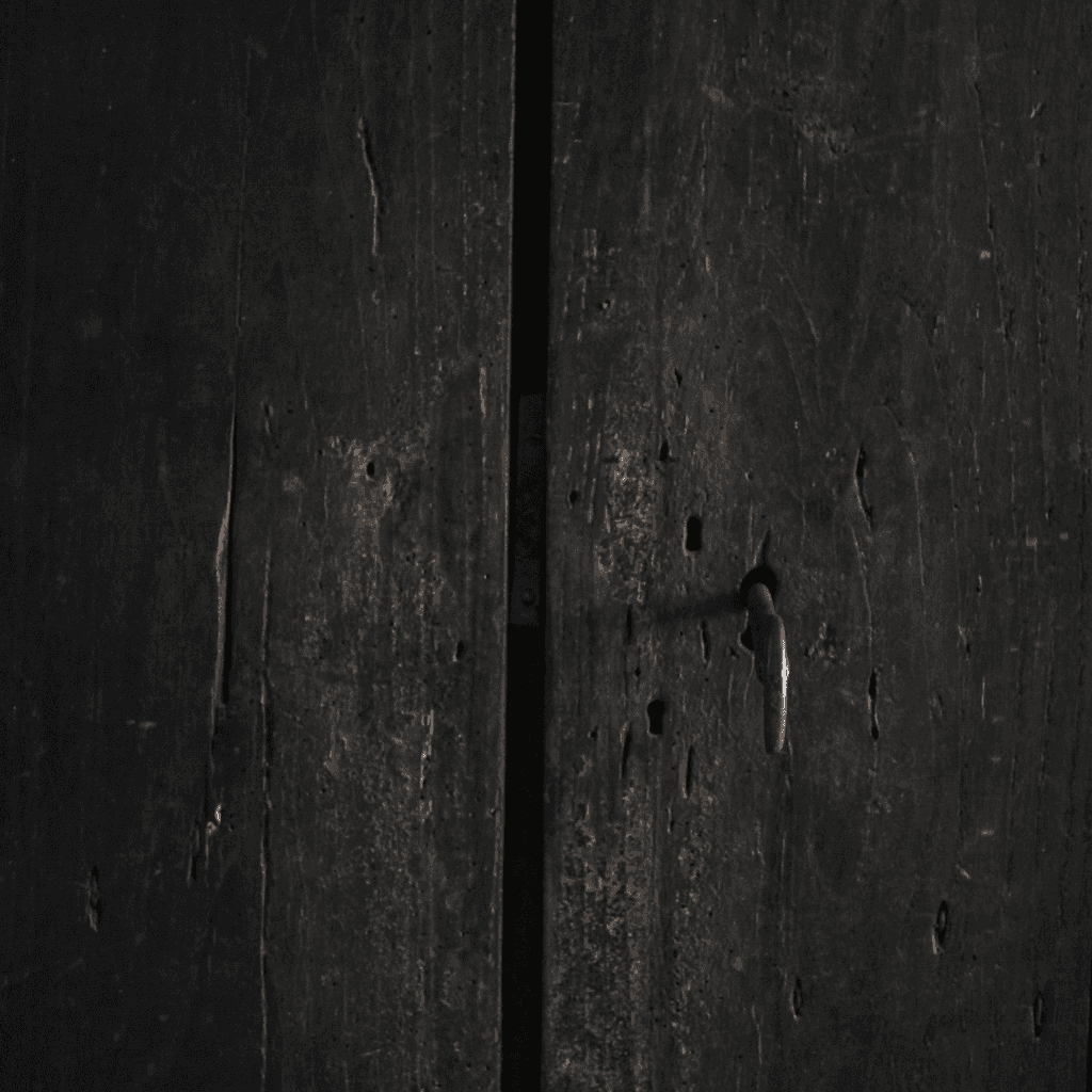 XXL 17th C. Portuguese Mountain Cupboard In Blackened Chestnut