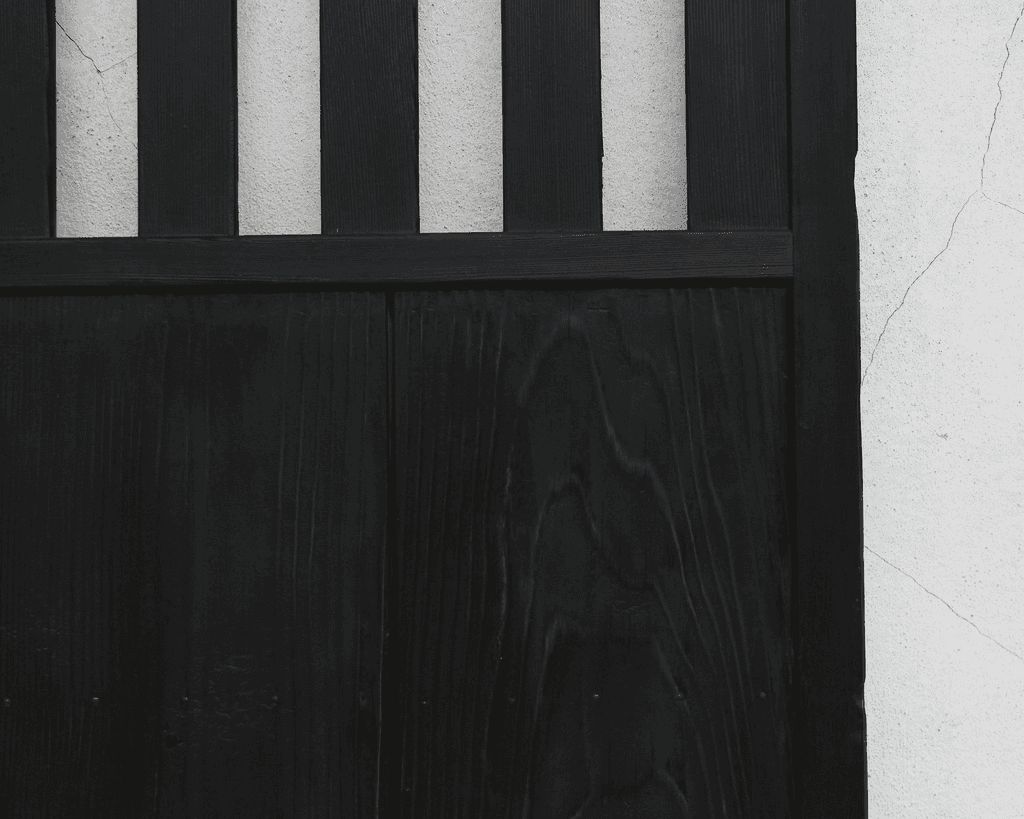 Huge Early 19Th Japanese Charred Cedar Door