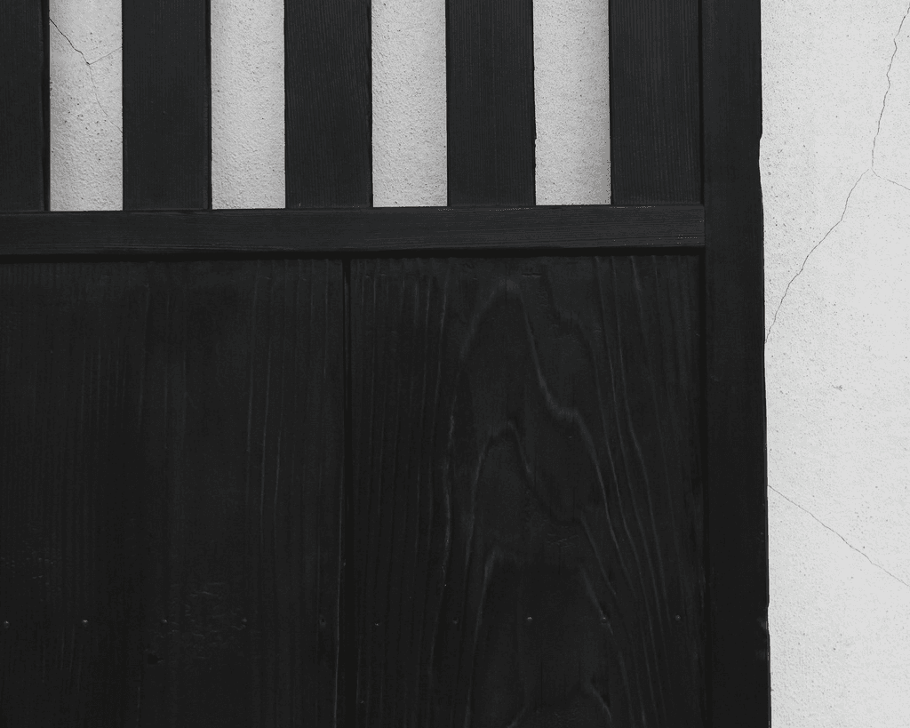 Huge Early 19Th Japanese Charred Cedar Door